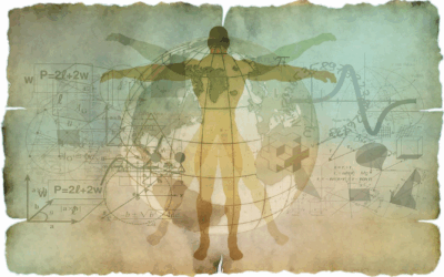 Nouveau : Les Zen’études